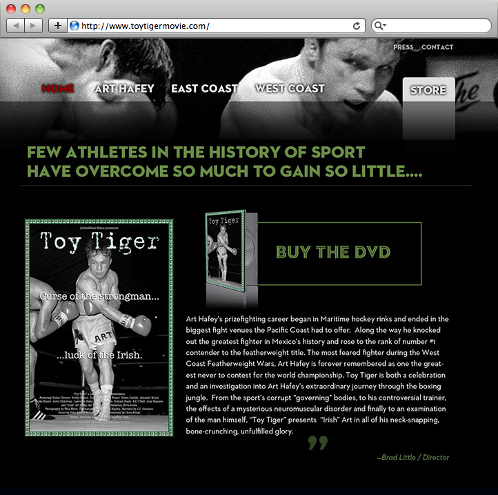 Toy Tiger homepage design